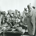 Veldarbeiders Tunis